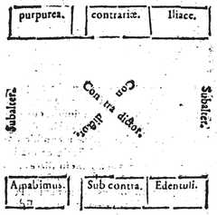 fol. 72v