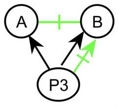 http://purl.org/lg/diagrams/gaines_2015_universal-logic-as-a-science-of_1dvf0db11_p-167_1j1nio726