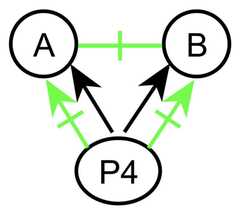 http://purl.org/lg/diagrams/gaines_2015_universal-logic-as-a-science-of_1dvf0db11_p-167_1j1nirbac