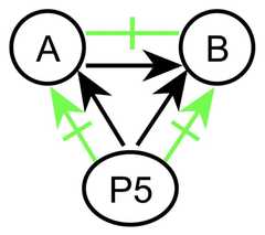 http://purl.org/lg/diagrams/gaines_2015_universal-logic-as-a-science-of_1dvf0db11_p-167_1j1nj25pa