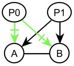 http://purl.org/lg/diagrams/gaines_2015_universal-logic-as-a-science-of_1dvf0db11_p-167_1j1r63c55