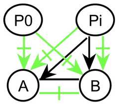 http://purl.org/lg/diagrams/gaines_2015_universal-logic-as-a-science-of_1dvf0db11_p-167_1j1r6h5ao