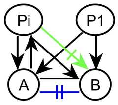 http://purl.org/lg/diagrams/gaines_2015_universal-logic-as-a-science-of_1dvf0db11_p-167_1j1r71lgj