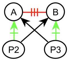 http://purl.org/lg/diagrams/gaines_2015_universal-logic-as-a-science-of_1dvf0db11_p-167_1j1r76qm9