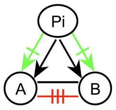 http://purl.org/lg/diagrams/gaines_2015_universal-logic-as-a-science-of_1dvf0db11_p-167_1j1r7h4ct