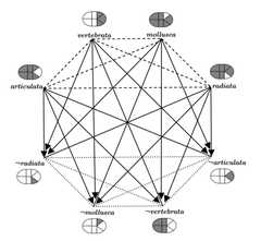 http://purl.org/lg/diagrams/lemanski_2022_schopenhauers-logikdiagramme-in-den_1gu0n1vbp_p-116_1husm5lhf