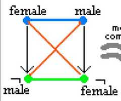 http://purl.org/lg/diagrams/moretti_2009_the-geometry-of-logical-opposition_1dnbb3upn_p-396_1i6h9nc9u