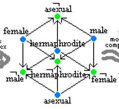 http://purl.org/lg/diagrams/moretti_2009_the-geometry-of-logical-opposition_1dnbb3upn_p-396_1i6ha33en