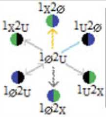 http://purl.org/lg/diagrams/moretti_2022_tri-simplicial-contradiction-the_1gccqf963_p-425_1j0ufilnh