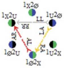 http://purl.org/lg/diagrams/moretti_2022_tri-simplicial-contradiction-the_1gccqf963_p-426_1j0uhv6ck