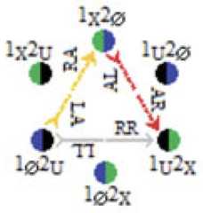 http://purl.org/lg/diagrams/moretti_2022_tri-simplicial-contradiction-the_1gccqf963_p-426_1j0ui3q3c