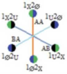 http://purl.org/lg/diagrams/moretti_2022_tri-simplicial-contradiction-the_1gccqf963_p-427_1j0uokkt0