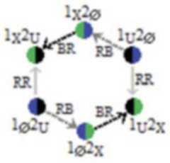 http://purl.org/lg/diagrams/moretti_2022_tri-simplicial-contradiction-the_1gccqf963_p-427_1j0up2rb3