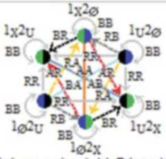 http://purl.org/lg/diagrams/moretti_2022_tri-simplicial-contradiction-the_1gccqf963_p-427_1j0uplf1d