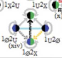 http://purl.org/lg/diagrams/moretti_2022_tri-simplicial-contradiction-the_1gccqf963_p-432_1j104h8cn