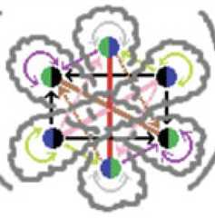 http://purl.org/lg/diagrams/moretti_2022_tri-simplicial-contradiction-the_1gccqf963_p-449_1j10qn6a9